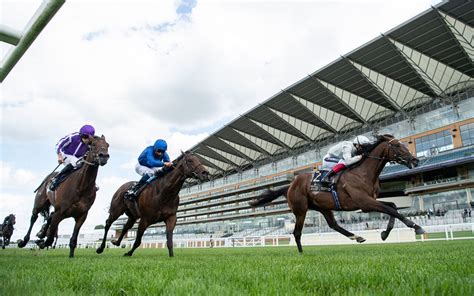 racing results placepots|Timeform's Tote Placepot: Champions Day at Ascot.
